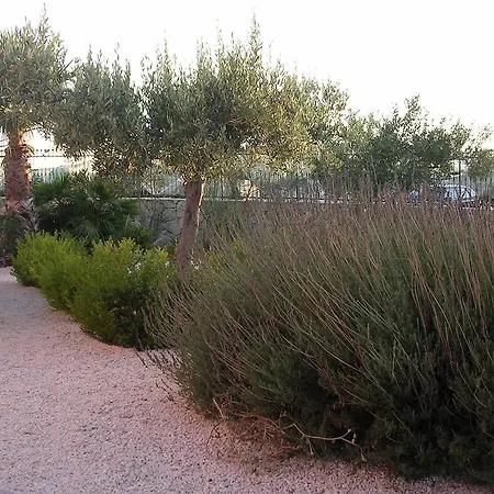 فندق Il Mirto E La Rosa 3*