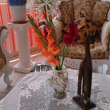 Hotel Il Mirto E La Rosa 3*